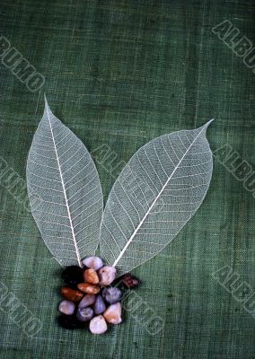 Transparent leaf and small stones