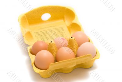 A carton of eggs from the top.