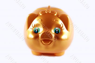 Gold pig