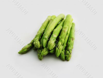 Fresh asparagus shoots Fresh asparagus shoots