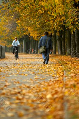 Walk in autumn park