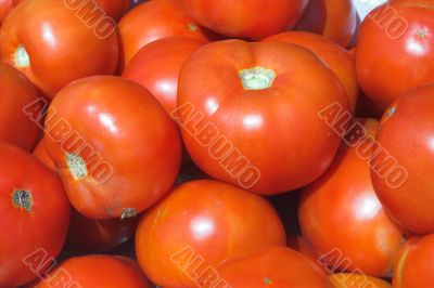 Tomatoes