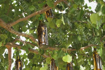 Beer Tree