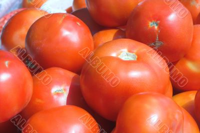 Tomatoes