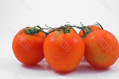 tomatoes