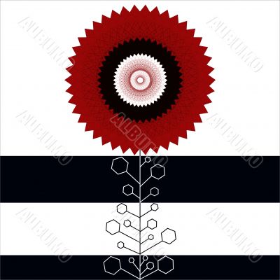 Geometrical flowers