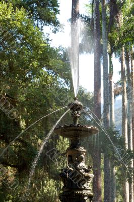 fountain fountain