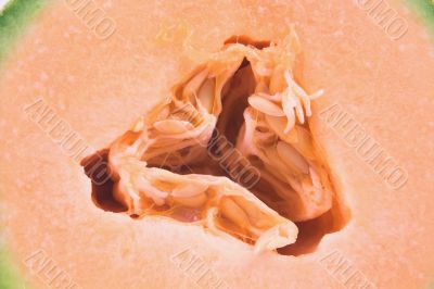 fresh, delicious sliced cantaloupe