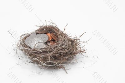 nest egg