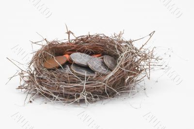 nest egg