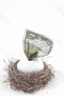a concept of a financial nest egg