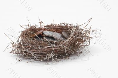 nest egg