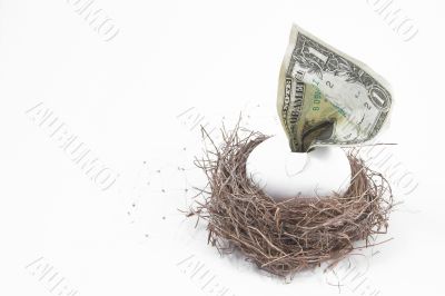 a concept of a financial nest egg