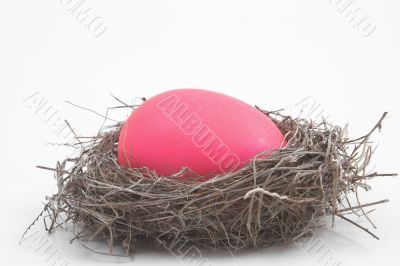 a pink easter egg in a birds nest