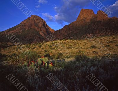 MN0029ChisosMtns&Desert MN0029ChisosMtns&Desert