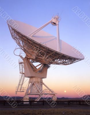 Dish&Moon Dish&Moon