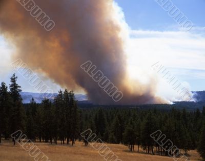 Forest Fire Horizontal Forest Fire Horizontal