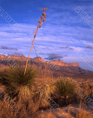 Guadalupe Mtn Sunset Guadalupe Mtn Sunset