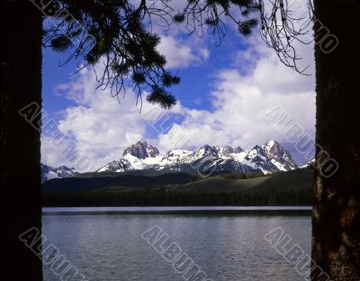 Little Red Fish Lake &amp;Trees