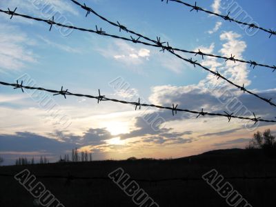 barbed wire and clouds