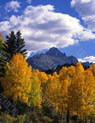 Mt Sneffels&amp;Aspens