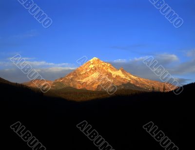 Mt Hood