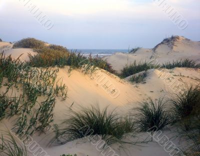 South Padre Island South Padre Island
