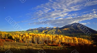 West Beck with Mtn (Panoramic)