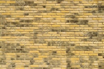 brick wall brick wall