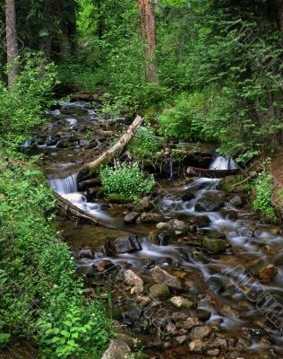 Trout Creek