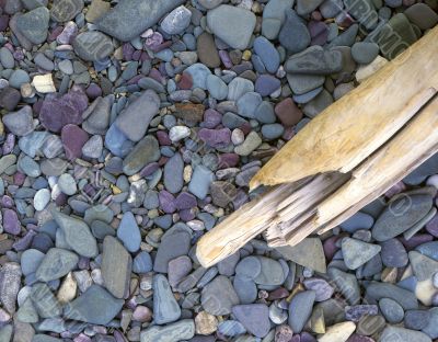 Rocks & Driftwood Rocks & Driftwood