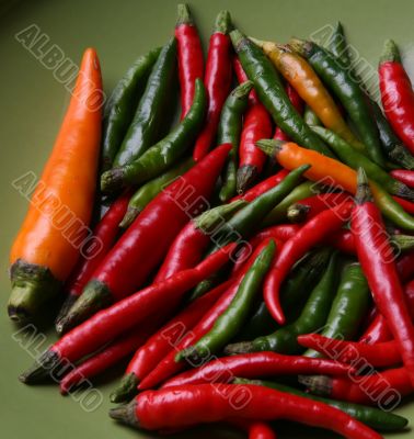 Red hot chilli peppers