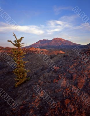 Mt St Hellens 3 (V)