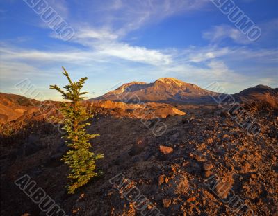 Mt St Hellens 4 (H)