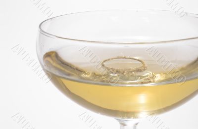 Engagement Ring in Champaign