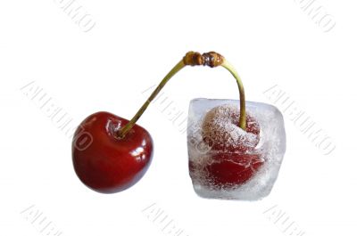 frozen cherries