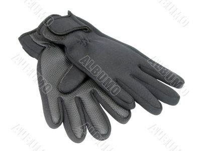 Gloves