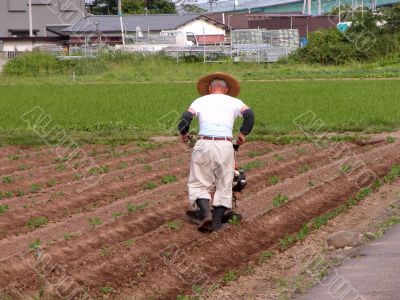 Japanese farmer