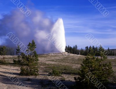 Old Faithful #1