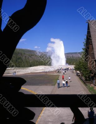 Old Faithful #3