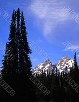 Tetons &amp; Forest