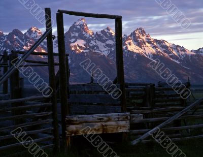 Tetons &amp; Corral #1