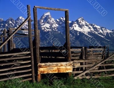 Tetons &amp; Corral #2