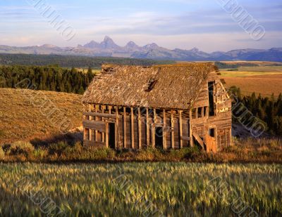 Tetons &amp; Old House