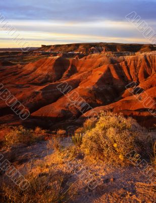 Painted Desert