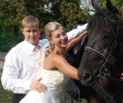 Groom and bride holding a brown horse
