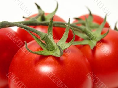 Tomatoes temptation