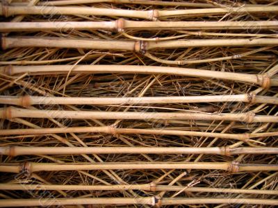 Bamboo wattle texture