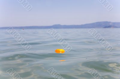 orange sails seaborne