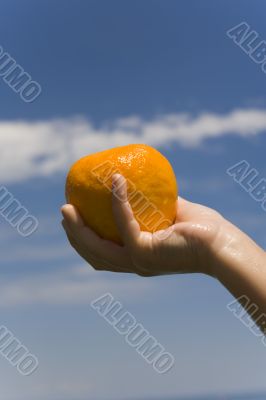 hand keeps orange on background sky